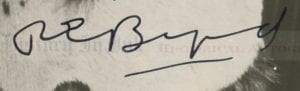 Byrd