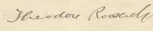 Theodore Roosevelt